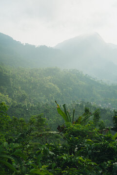 Dense tropical jungle and forest covered mountains under fog and overcast sky in Pati, Java, Indonesia