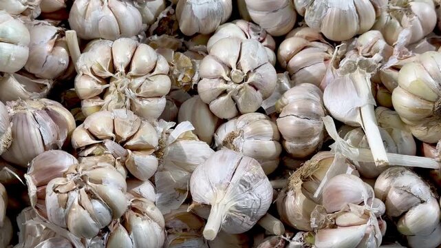 close up of garlic