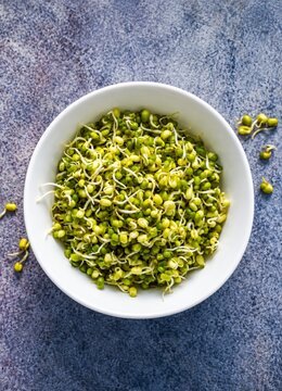 Fresh mung bean sprouts in white bowl, top view