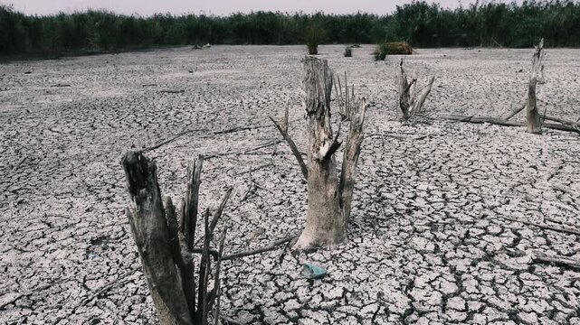 Dry, parched earth cracked by prolonged drought in a dried out wetlands area in Romania.