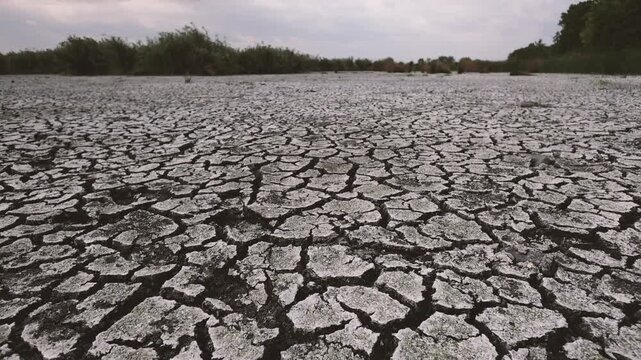 Dry, parched earth cracked by prolonged drought in a dried out wetlands area in Romania.