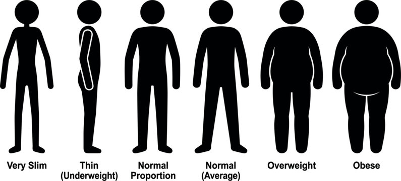 Human body silhouettes illustrate varying weight levels against a white background anatomy anthropometry build contour