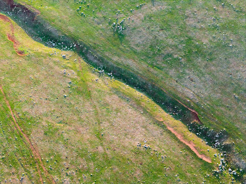 Aerial view of a rocky gully running through a green paddock