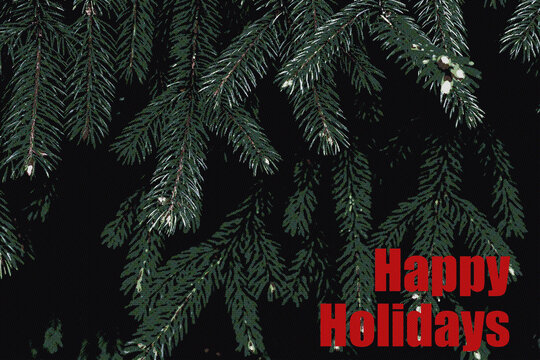 Abstract green spruce halftone dot pattern with bold red Happy Holidays typography on dark background and retro print texture. Lives in NYE party and seasonal holiday campaign design.