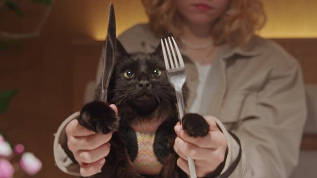Close up of black cat wearing colorful patterned clothing holding silverware with its paws while being held by person. scene features warm indoor lighting and soft focus background elements