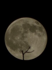 moon © Aaron