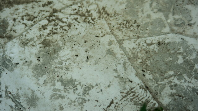 Cracked concrete tile floor with rough and weathered surface textures.