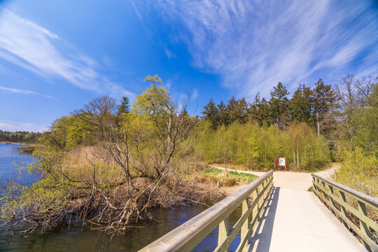 Wooden footbridge crossing a scenic lake on a sunny day