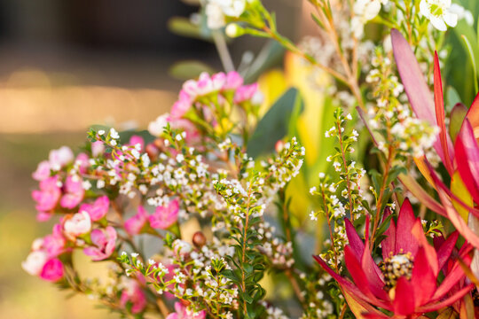 Thryptomene flowers in floral arrangement