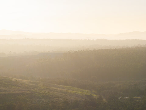 Air quality concept-  hazy view over treetops and layered hills near coal mining area