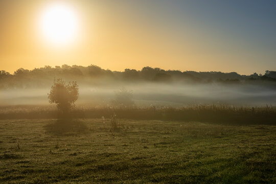 Misty rural meadow at sunrise with golden morning sun