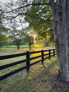 Summer sunset in Free Union, Virginia