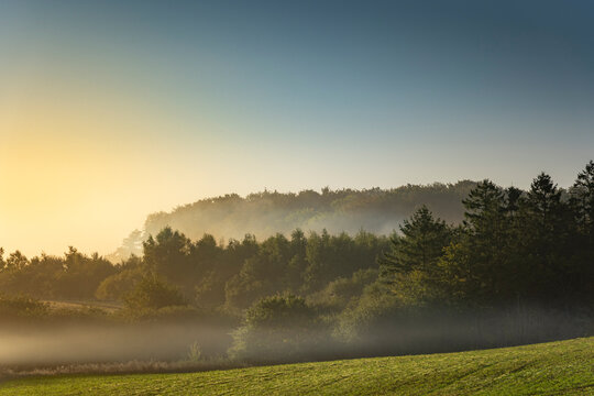 Misty autumn forest at sunrise with a green meadow