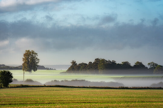 Misty morning fog over green fields and rural forest landscape