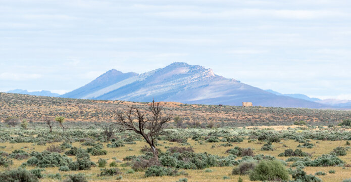 outback scenery with mountain on horizon