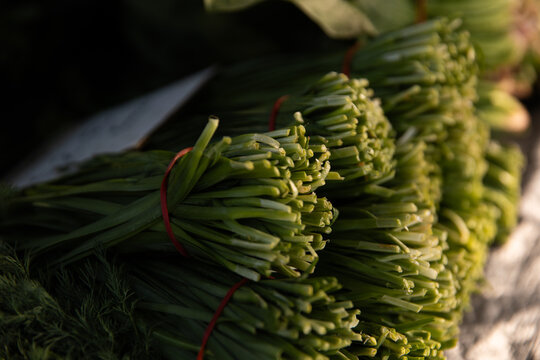 Bundles of fresh garlic chives are tied and stacked neatly with red rubber bands