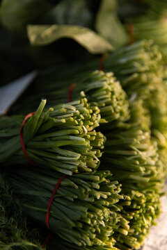 Bundles of fresh garlic chives are tied and stacked neatly with red rubber bands