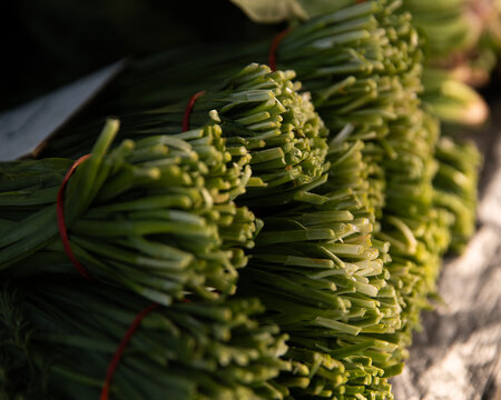 Bundles of fresh garlic chives are tied and stacked neatly with red rubber bands