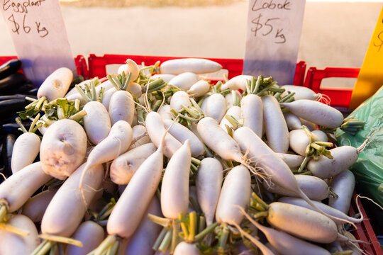 Fresh white radishes (lobak) displayed at the market stall, priced at five dollars per kilogram