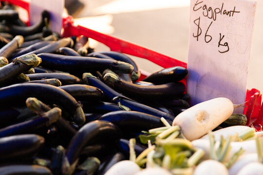 Fresh eggplants displayed at a local outdoor market, priced at six dollars per kilogram