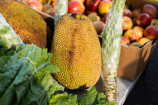 Ripe jackfruit surrounded by leafy greens and a box of apples on display at market stall