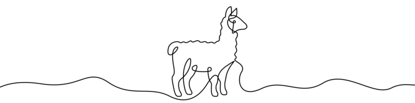 Llama line icon, continuous one line drawing