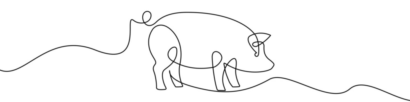 Continuous line pig icon for farm animal design