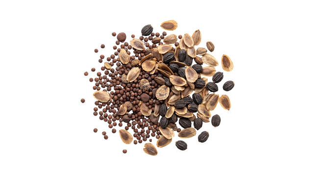 Organic various plant seeds heap, mixed agricultural garden seeds for planting, natural crop seed collection isolated PNG with Transparent Background