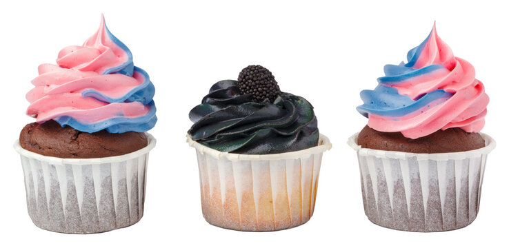 Colorful cupcakes with frosting in pink, blue, and black on display