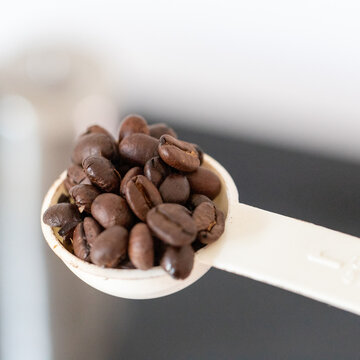 White measuring spoon filled with whole roasted coffee beans