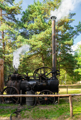 Steam engine sawmill, 19th century technology © Maryna Konoplytska