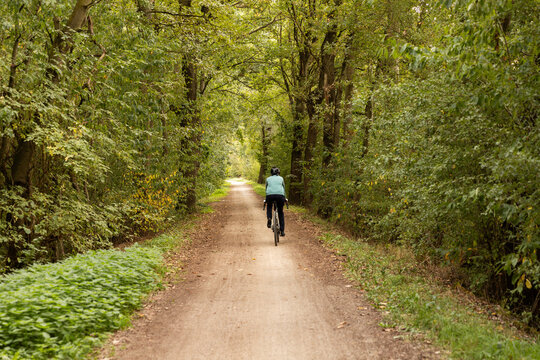 Cycliste dans une for&ecirc;t sur un chemin bord&eacute; d'arbres verts