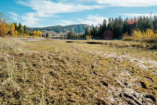 Dry exposed ground stretches across an area normally shaped by water.