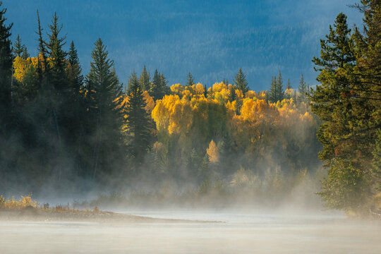 Morning mist rises above shallow water bordered by autumn trees.