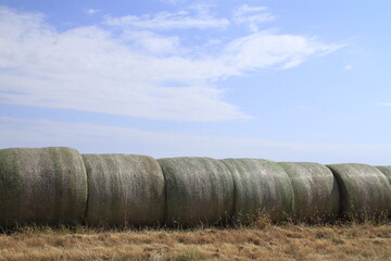  Kansas Hay Bales in Farm Field outdoor with blue sky © Stockphotoman