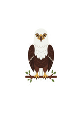 Obraz premium Cute African Fish Eagle flat vector front view isolated on white