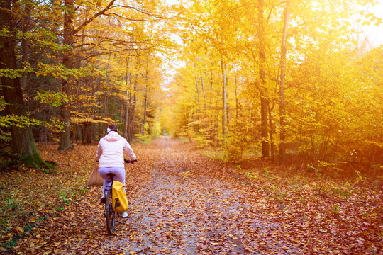 Active lifestyle cycling through a colorful autumn woodland