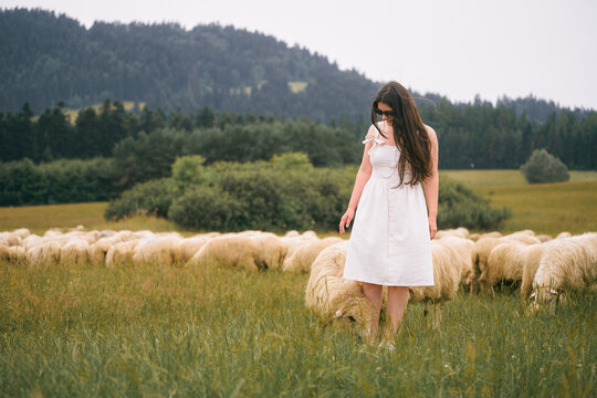 Woman crouching next to sheep outdoors