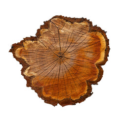 Obraz premium Cross section of a plum tree trunk, isolated on transparent background.