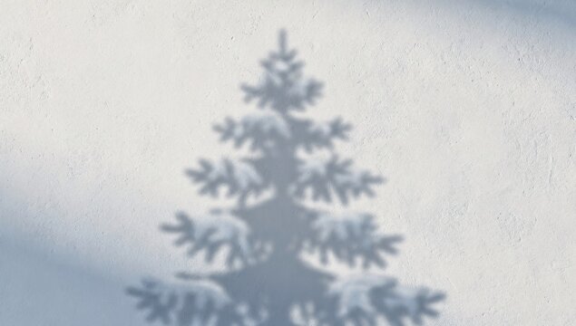 Shadow of a snow laden pine tree is projected onto a cool white textured surface