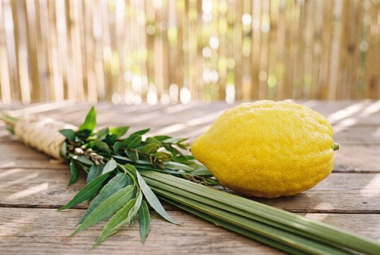 Sukkot festival four species with yellow etrog citron and lulav on linen