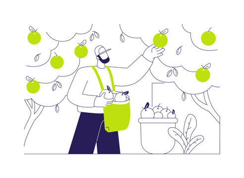 Citrus fruit growing isolated cartoon vector illustrations.