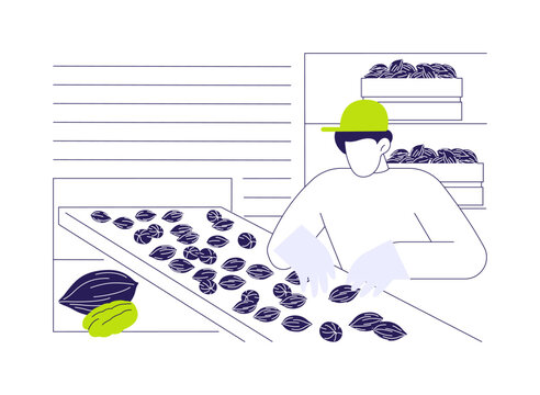 Pecans production isolated cartoon vector illustrations.