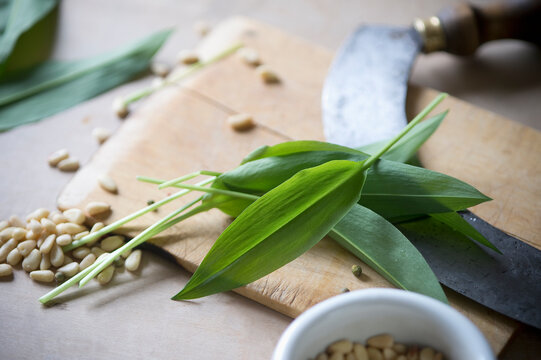 Fresh Ramson leaves and pine nuts on chopping board