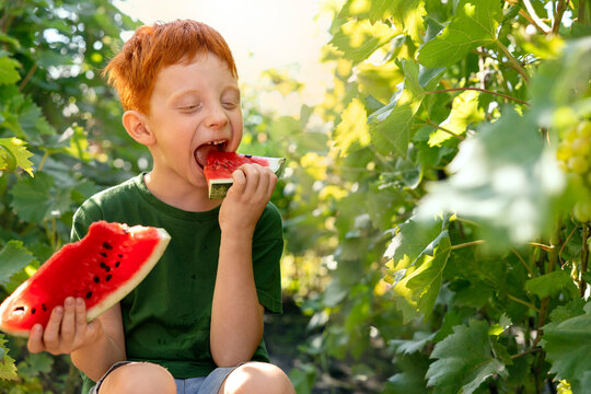 A red-haired boy is eating fresh watermelon in a sunny garden
