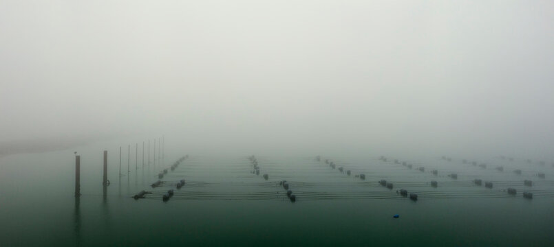 Mussel farming in heavy fog at Oosterschelde the Netherlands