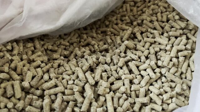 Side Angle Close Up Wood Pellets for Eco Friendly Biomass Fuel Energy