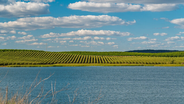 A blue lake borders a green agricultural field in Pias Portugal