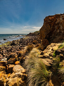 Rough Red Rocks From The Cliffs vert
