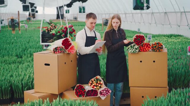 Young flower-growing entrepreneurs sort and check bouquet orders inside bright greenhouse with tulip rows, packed shipping boxes, and wrapped blooms. Small business, flower cultivation.